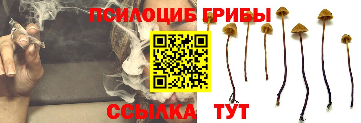 Псилоцибиновые грибы Magic Shrooms  Вход с VPN  Галлюциногенные грибы Psilocybine cubensis  Выборг 